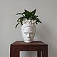 Planter organizer Frida Kahlo's head, Pots1, Stavropol,  Фото №1