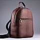 IMP0557K Genuine Python Leather Backpack, Backpacks, Moscow,  Фото №1