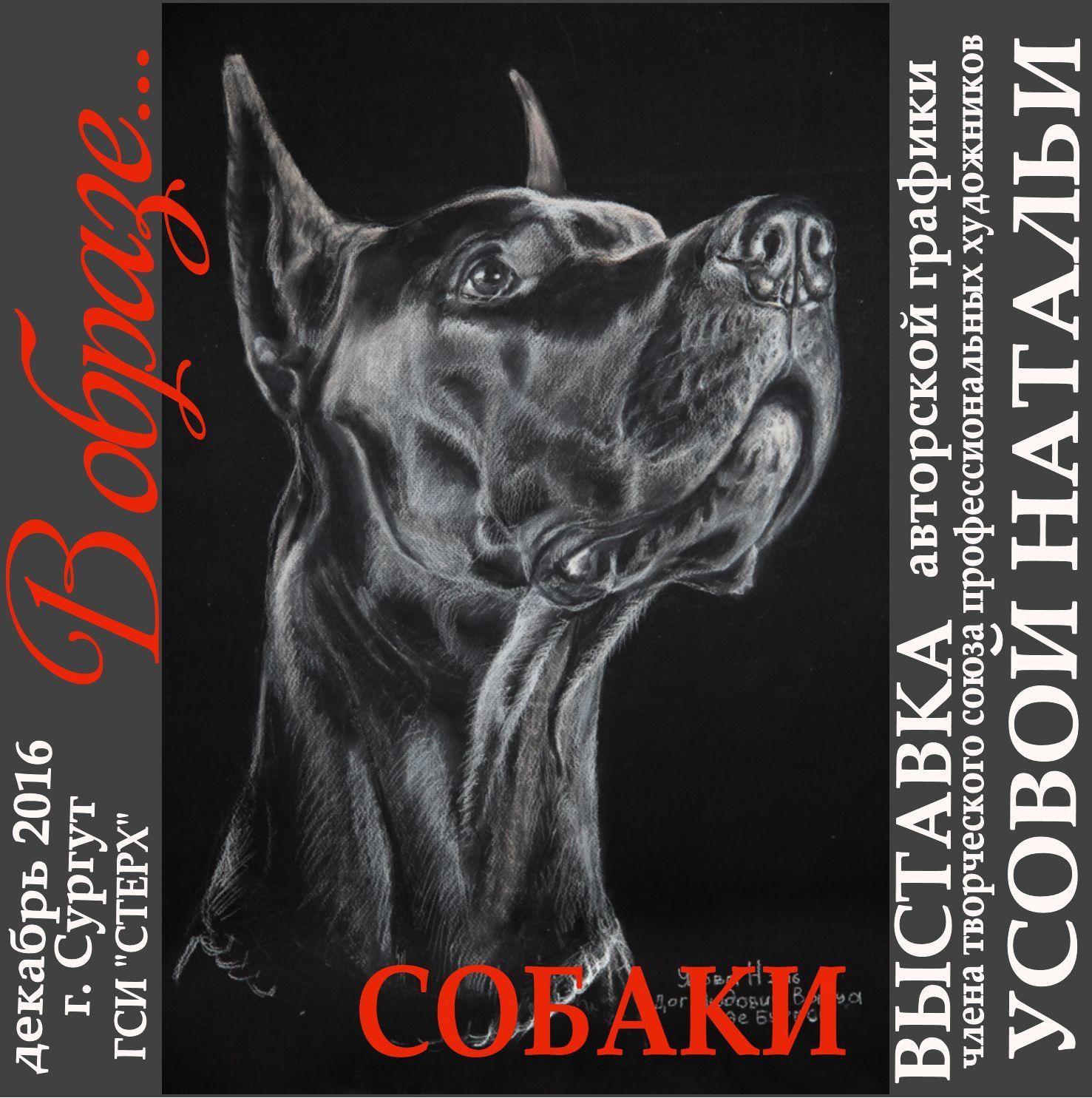 Мой профиль