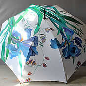 Umbrella-cane painted with a cover 