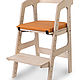 Комплект: растущий стул ALPIKA-BRAND Egoza и подушка коричневая, Мебель для детской, Нижний Новгород,  Фото №1