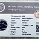Сертифицированный Натуральныйзеленый Сапфир 1.40 ct Тайланд. Минералы. Ольга. Ярмарка Мастеров.  Фото №4