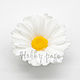 Silicone soap mold Chamomile field. Form. Hobbypage. Online shopping on My Livemaster.  Фото №2