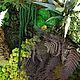 Fotokartin of stabilized moss and plants. Fitokartins. Антонина Литовкина - Озеленение (Планета Флористики). My Livemaster. Фото №6