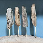 Дрифтвуд driftwood набор фактурных деревяшек , 9 шт