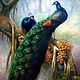 Картины маслом на холсте Павлины для интерьера. Павлин маслом, Картины, Москва,  Фото №1