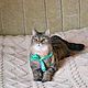 Кошка. Мягкая подвижная игрушка на заказ по фото кошки, кота, Мягкие игрушки, Пошехонье,  Фото №1
