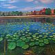 Oil Painting Landscape Lake with Lilies, Pictures, Novokuznetsk,  Фото №1