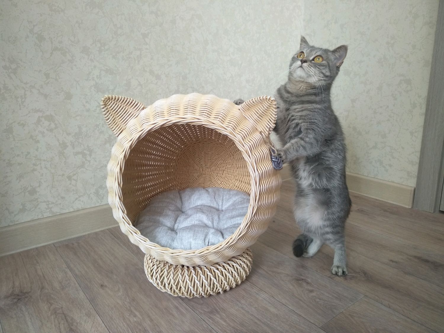 Плетеный Домик Для Кота