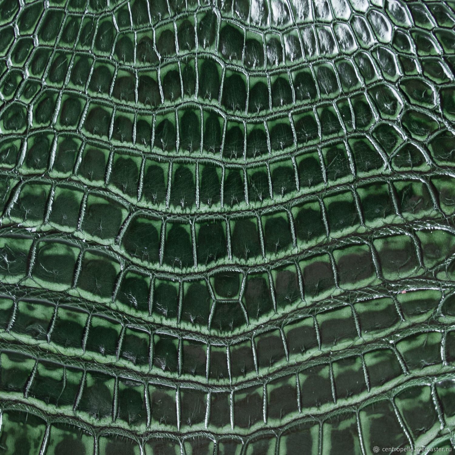 Мебель белый цвет под крокодила. Цвет кожи крокодила. Кожа крокодила цвет. Фиолетовая кожа крокодила. Кожа крокодил окраска.