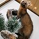 Соболь чучело. Подарки для охотников и рыболовов. SIBIRSAFARI. Интернет-магазин Ярмарка Мастеров.  Фото №2