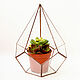 Florarium for creating a mini-garden. Geometric vase for Floriana. Florariums. Glass Flowers. My Livemaster. Фото №5