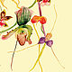 Плакат: Ботаническая иллюстрация  ОРХИДЕИ (1), А3. Элементы интерьера. Любовь Фонарева, художник. Ярмарка Мастеров.  Фото №5