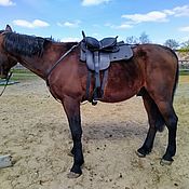 Зоотовары handmade. Livemaster - original item Horse Saddle Cossack. Handmade.