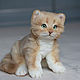 Realistic kitten Tom. Stuffed Toys. Elena Trushik. Online shopping on My Livemaster.  Фото №2