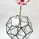 The Floriana for plants Star Balloon. Geometric vase for Floriana. Florariums. Glass Flowers. My Livemaster. Фото №4