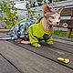 Одежда для кошек Комбинезон с бархатом внутри - Супер 2, Одежда для питомцев, Бийск,  Фото №1