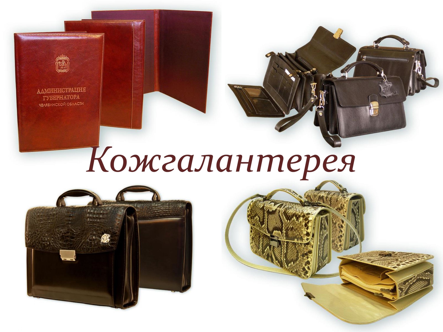 Мой профиль
