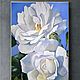 Painting White flowers, Pictures, Samara,  Фото №1