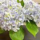 Гортензия в стекле с эффектом воды. Композиции. buket.buffet.decor/ Lana R. Ярмарка Мастеров.  Фото №4