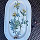 Винтаж: Блюдо  Villeroy&Boch Botanica, Кухонная утварь винтажная, Калининград,  Фото №1