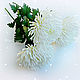 Хризантемы на стебле из фоамирана. Цветы. Юлия Сухинина. Ярмарка Мастеров.  Фото №4