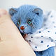 Мишка тедди голубой с голубыми глазами, миниатюра. Мишки Тедди. Teddy by Olga Prokudina. Ярмарка Мастеров.  Фото №4