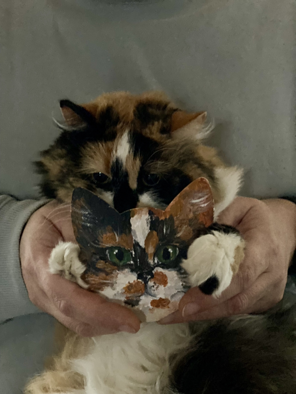 Мой профиль