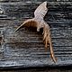 Bog oak Hummingbird brooch, Brooches, Moscow,  Фото №1