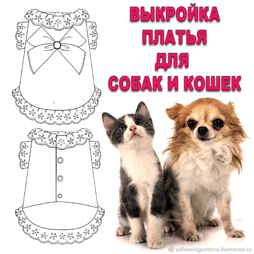 Выкройка свитшота для кота | Шить просто — thebestterrier.ru