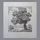 Etching Shervinsky And. With. ' Rural landscape', Vintage interior, Moscow,  Фото №1