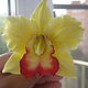 Зажим с орхидеей "Алая лента в желтом бархате", Заколки, Омск,  Фото №1