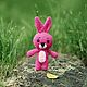 Little Bunny Crocheted Gift for Newborns. Stuffed Toys. ChudomagiaArt (denisova-hm). Online shopping on My Livemaster.  Фото №2