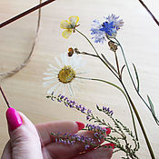 Для дома и интерьера handmade. Livemaster - original item the herbarium in the glass. Herbarium of flowers in a frame. Chamomile and cornflowers. Handmade.