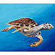  Морская черепаха. Масло, холст 30х40 см, Картины, Краснознаменск,  Фото №1