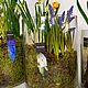 Первоцветы в Цилиндре 30см Весеники на 8 марта. Подарки на 8 марта. DARK FLORIST Флористика Декор ЦВЕТЫ. Ярмарка Мастеров.  Фото №4