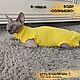 Заказать Боди для котиков. Одежда для кошек и собак  #CATS_DOGS_EXCLUSIVE_. Ярмарка Мастеров. . Одежда для питомцев Фото №3