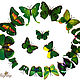 Fairy-shop, butterfly plastic with double-sided tape. Butterfly. Butterflies on the wall. scrapbooking. butterflies for creativity. Butterfly for interior. Decorative butterflies. Fair Masters.
