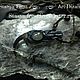 Заказать Arya Stark VS Night king. Stasya-frost. Ярмарка Мастеров. . Оберег Фото №3