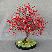 Цветы и флористика handmade. Livemaster - original item Money tree red coral. Handmade.