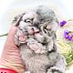 Mr.Fuzzy. Тедди Зверята. Ирина Ермакова. Интернет-магазин Ярмарка Мастеров.  Фото №2