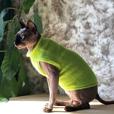 Как связать простой свитер спицами для собак и кошек