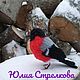 Заказать Мастер-класс по вязанию крючком "Снегирь". Юлия Стрелкова. Ярмарка Мастеров. . Материалы для кукол и игрушек Фото №3