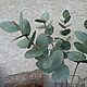 Заказать Эвкалипт из фоамирана. Natashaflowers_decor. Ярмарка Мастеров. . Растения Фото №3