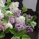 A bouquet of lilacs, Flowers, Odessa,  Фото №1