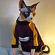 Order Clothing for cats Jacket 'Cool!'. Happy-sphynx. Livemaster. . Pet clothes Фото №3
