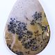 Agate with dendrites,moss agate (cabochons 36 - 63 mm) Kazakhstan, Charly, Cabochons, St. Petersburg,  Фото №1