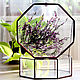 Box of glass. The box with the herbarium. Heather, Caskets for rings, St. Petersburg,  Фото №1