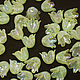 Beads Flowers 10mm Yellow Rainbow 1 piece Acrylic. Beads1. agraf. Online shopping on My Livemaster.  Фото №2