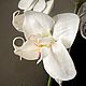 Белая орхидея из холодного фарфора. Композиции. YULIYA. Ярмарка Мастеров.  Фото №4
